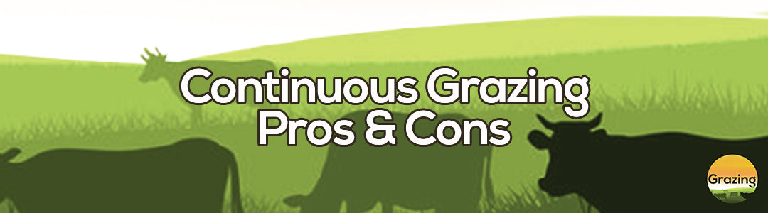 Pros & Cons Using The Continuous Grazing Method